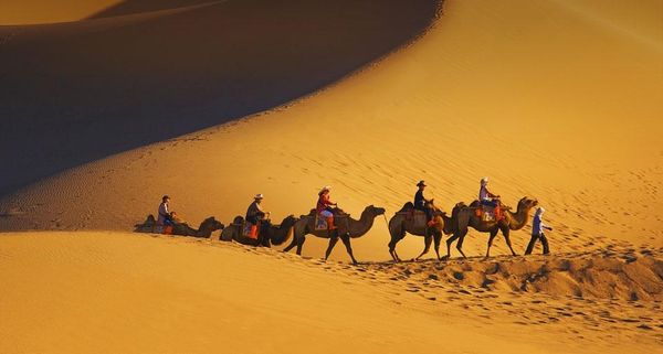 CamelCaravanDunhuang