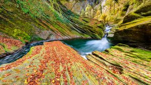 阿尔卑斯山Cheran峡谷中流淌的河流，法国萨瓦 (© Jean-Philippe Delobelle/Minden)(Bing China)