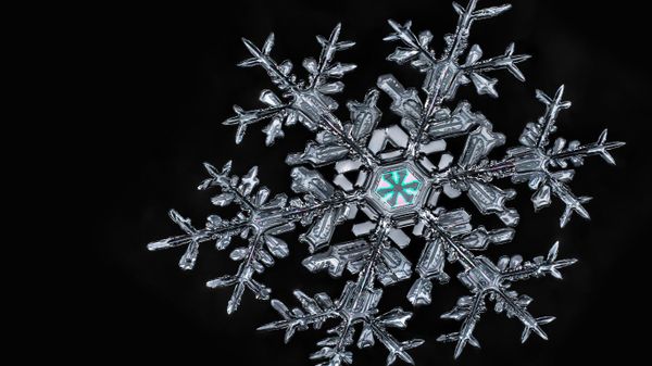 A snowflake