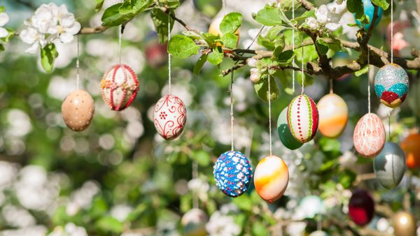 Viele bunt bemalte Ostereier an einem Apfelbaum