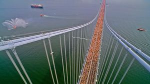 ヴェラザノ＝ナローズ橋, 米国 ニューヨーク (© David Madison/Getty Images)(Bing Japan)