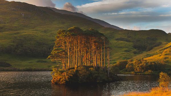 Dawn light on Eilean Na Mòine island, Loch Eilt, Scotland