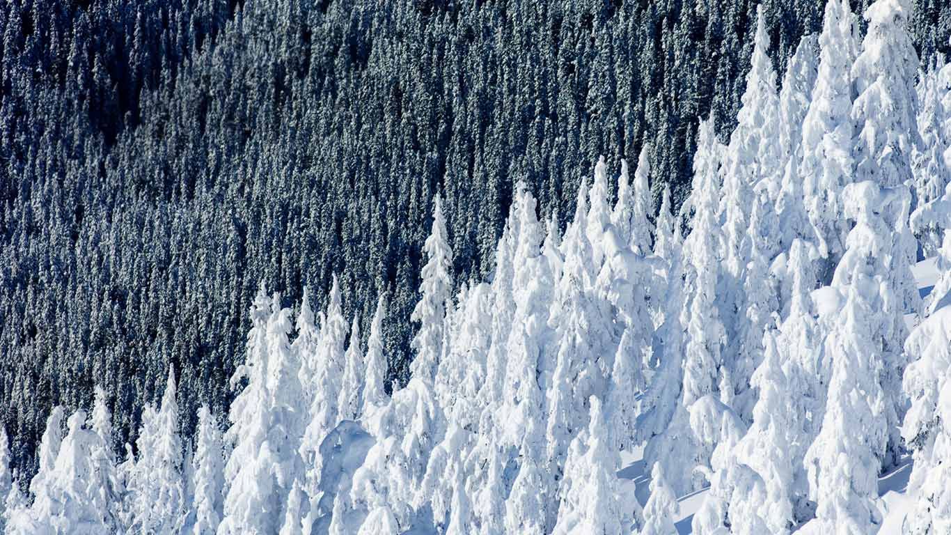 Whistler Mountain in British Columbia, Canada