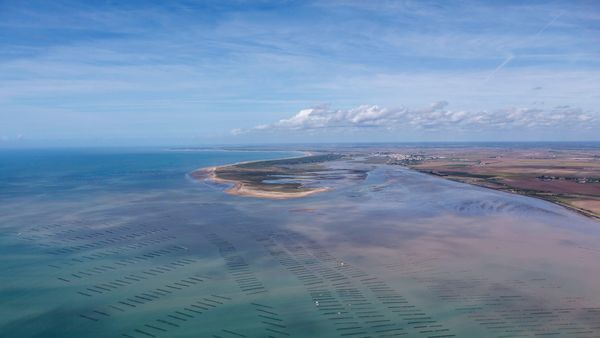 Parc ostréicole à La Faute-sur-Mer, Pointe d'Arcay France, Vendée
