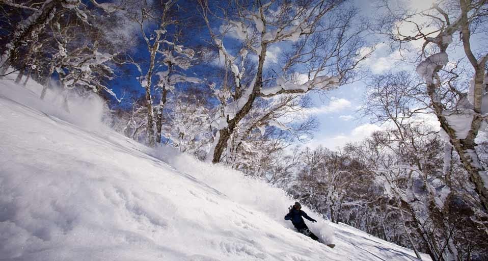FreshPowder