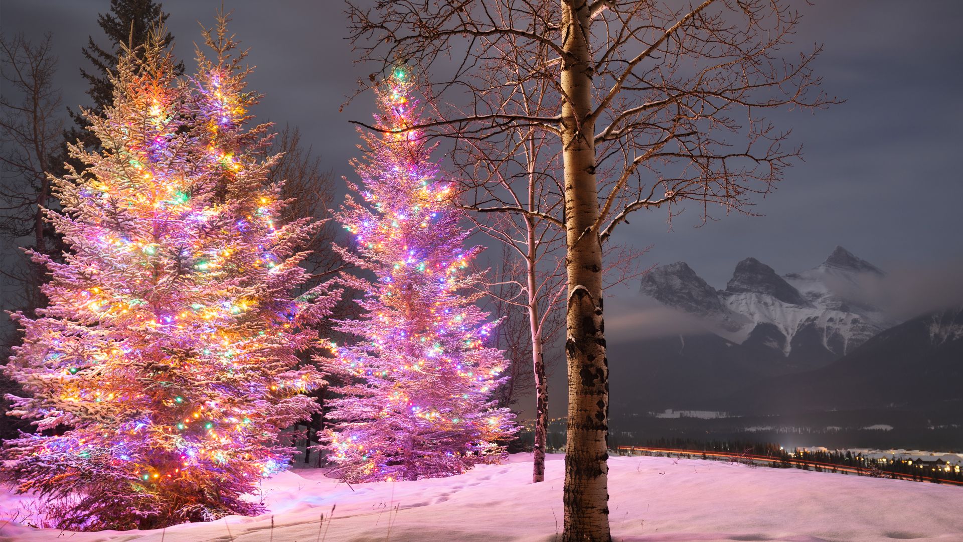 Christmas trees with the Three Sisters mountain in the background, Canmore, Alberta