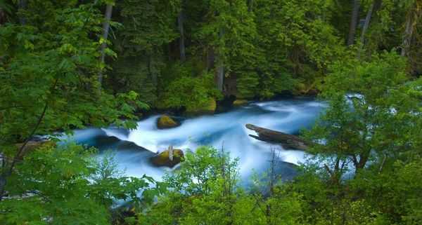 McKenzie River below Tamolitch Falls, Willamette National Forest, Oregon