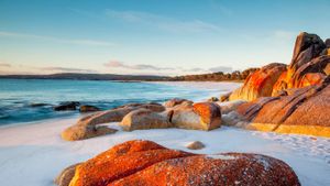 Orange lichen-covered rocks at Bay of Fires, Tasmania (© John White Photos/Moment Open/Getty Images)(Bing Australia)