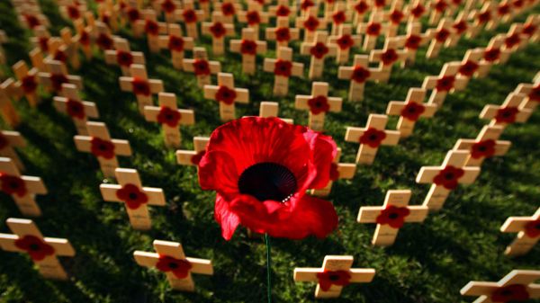 Field of Remembrance in Princess Street Gardens, Edinburgh, Scotland
