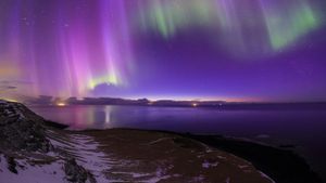 Aurora borealis over the coast of Iceland (© Babak Tafreshi/Nimia)(Bing United States)
