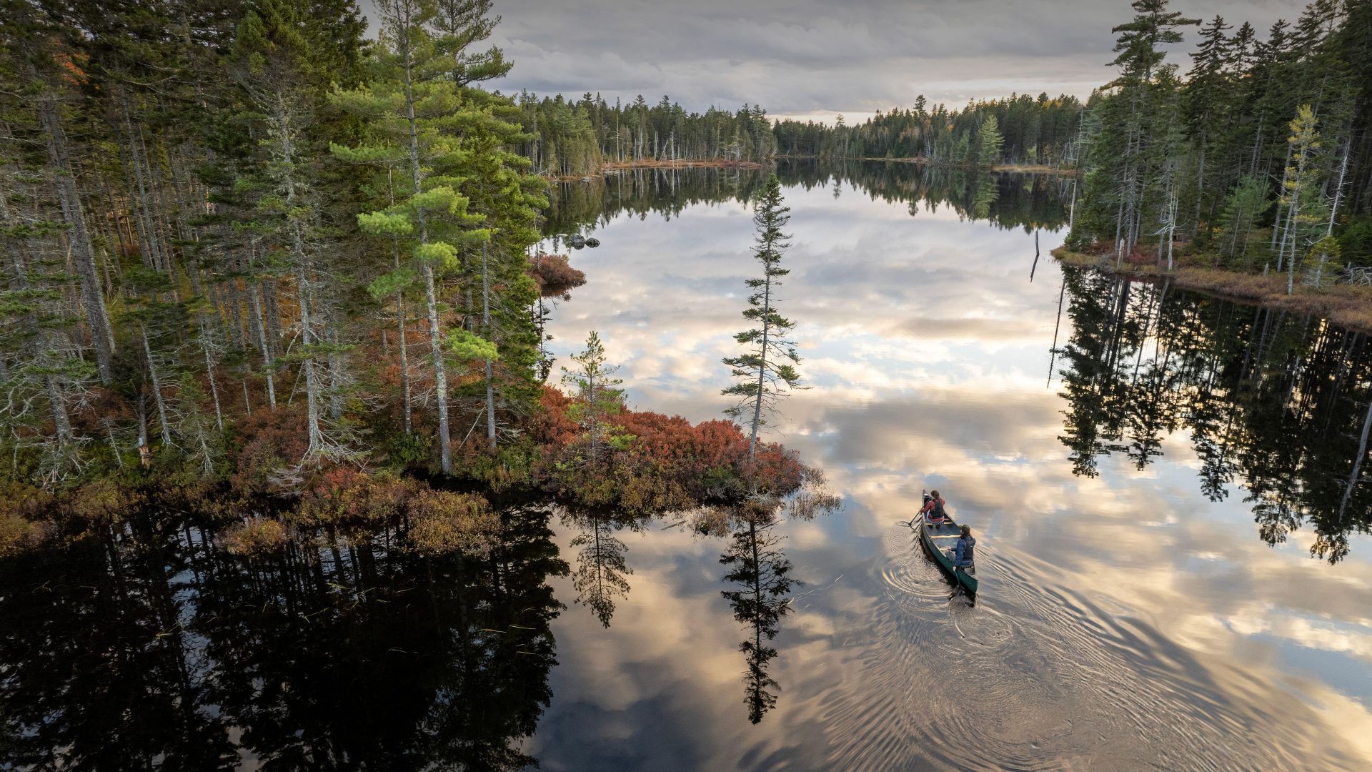 Katahdin Woods and Waters National Monument, Penobscot County, Maine, USA