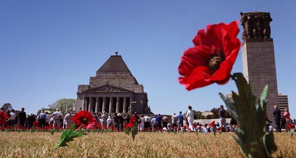 Poppy flowers are placed in front of the Shrine of Remembrance to mark Remembrance Day in Melbourne, November 11, 2009