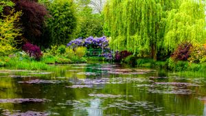 Monet's garden in Giverny, Eure, Haute-Normandie, France (© Oleg Bakhirev/Shutterstock)(Bing Australia)