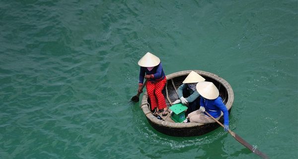 Three women rowing in bamboo basket boat, Vietnam