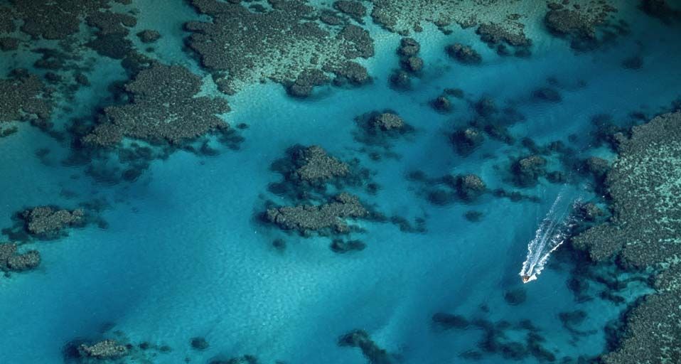 GreatBarrierReef