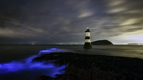 Bioluminescent plankton at Trwyn Du Lighthouse on Anglesey in Wales