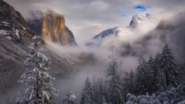 Clearing snowstorm, Yosemite National Park, California