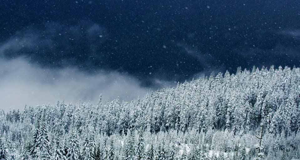 SquamishSnow