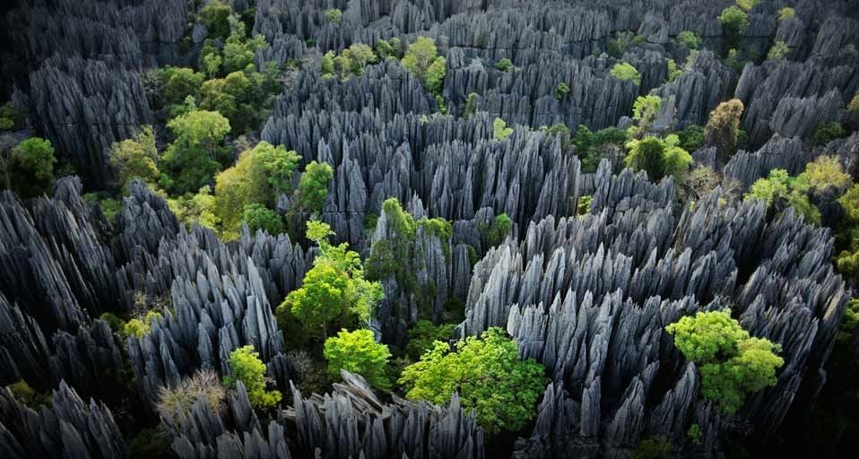 Karst limestone formations in Tsingy de Bemaraha Strict Nature Reserve, Madagascar