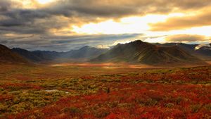 Shaft of sunlight hitting the fall colours of the Dempster Highway, Yukon (© plainpicture/Design Pics/Robert Postma)(Bing Canada)