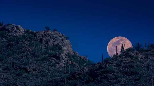 Moon rising, Tucson, Arizona