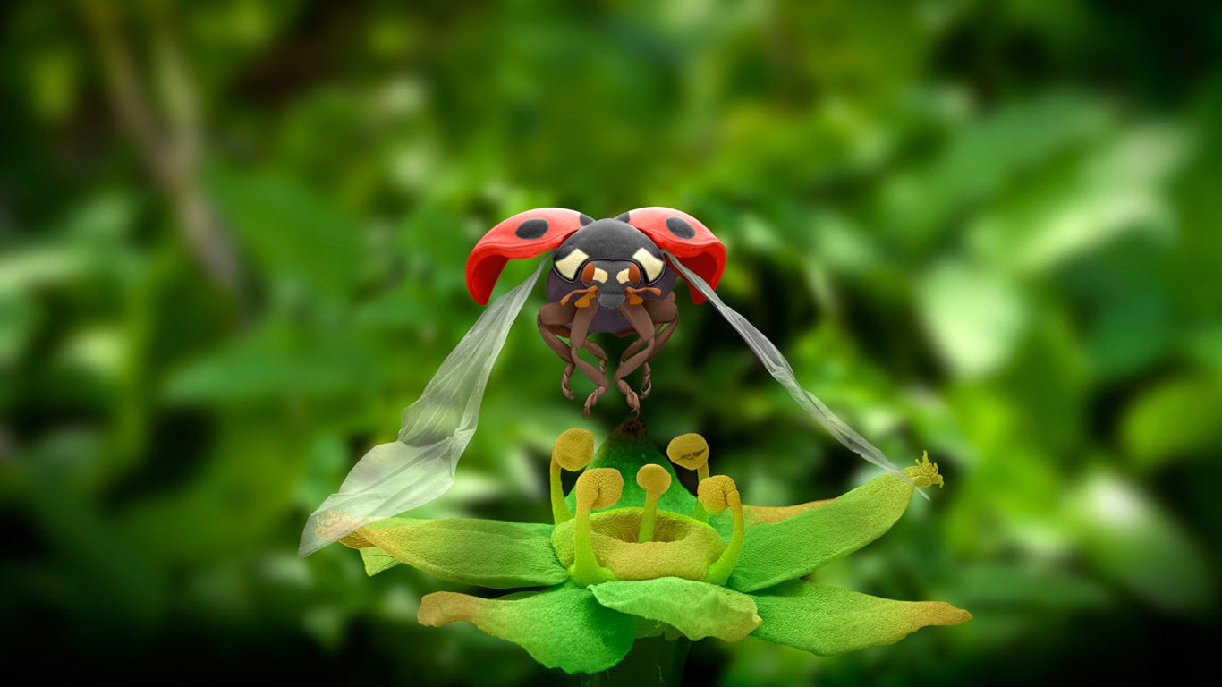 Photomicrographie d’une coccinelle à sept points