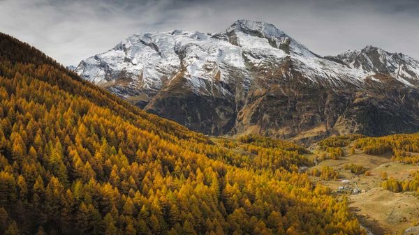 Vue panoramique sur le Mont Pourri, massif de la Vanoise, Savoie