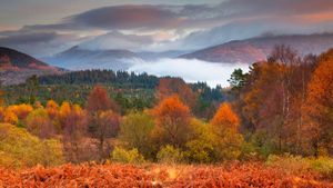 秋天的罗梦湖和特罗萨克斯国家公园，苏格兰 (© Jon Arnold/Danita Delimont)(Bing China)