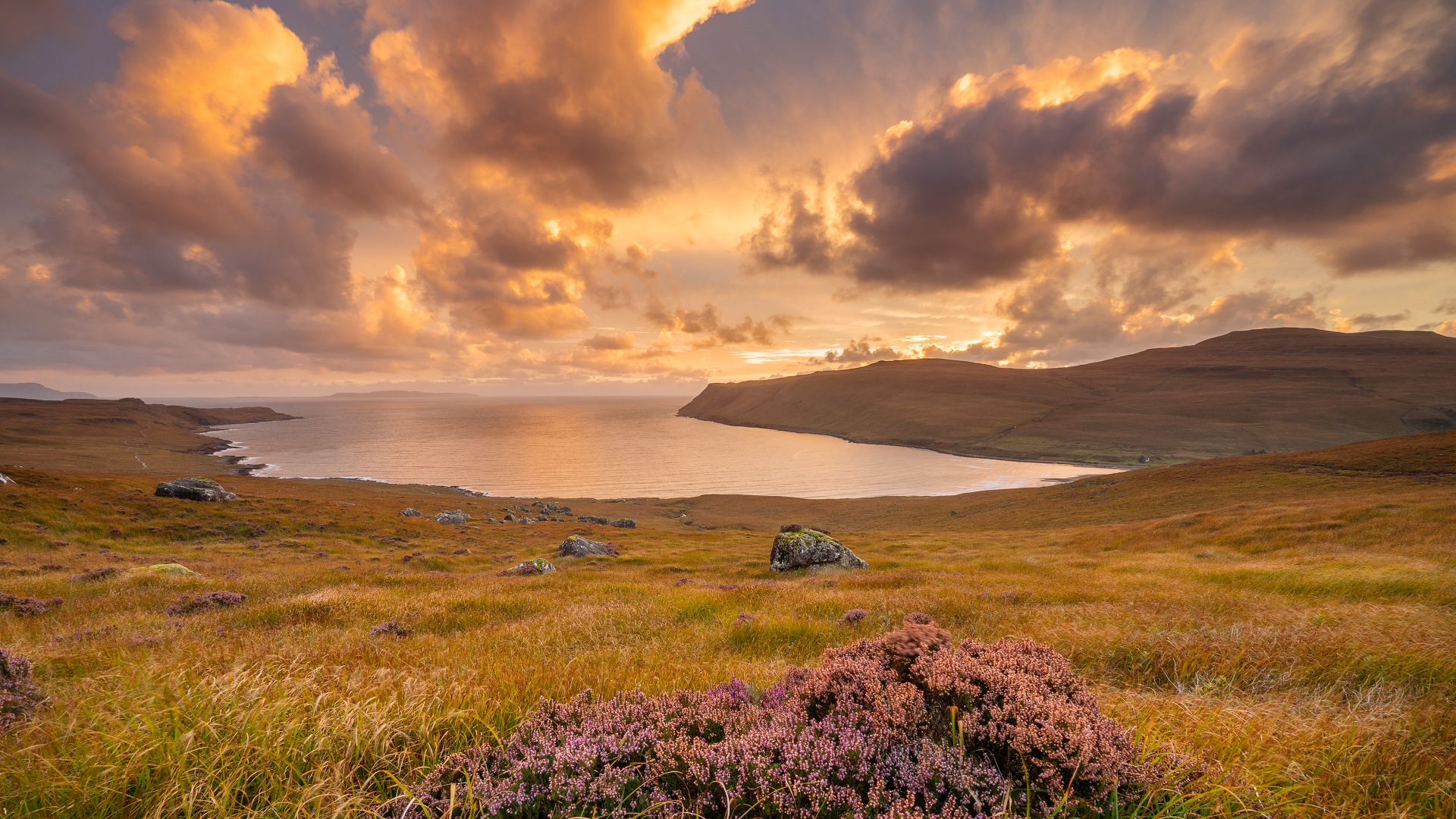 Erica a Glen Brittle, Isola di Skye, Scozia