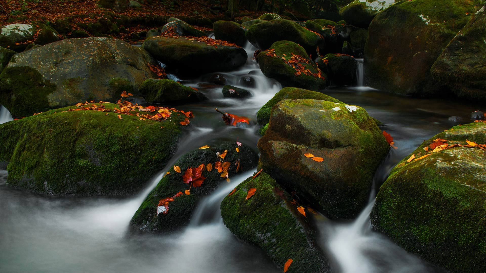 Roaring Fork in Great Smoky Mountains National Park, Tennessee