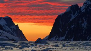 Coastline at sunset, Antarctic Peninsula, Antarctica (© Jan Vermeer/Minden Pictures)(Bing New Zealand)