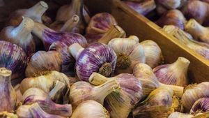 Fresh garlic bulbs for sale at the garlic farm on the Isle of Wight, England (© Steve Hawkins Photography/Alamy Stock Photo)(Bing United Kingdom)