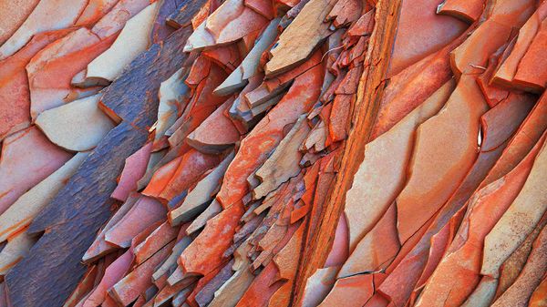 Stone structure in Hamersley Gorge, Karijini National Park, Australia