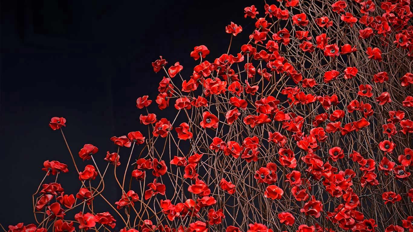 ‘Wave,’ part of ‘Blood Swept Lands and Seas of Red,’ an art installation pictured here at the Imperial War Museum North in Manchester, England