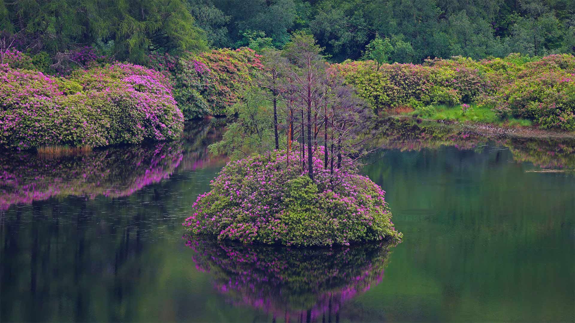 Small loch in Glen Etive, Highlands