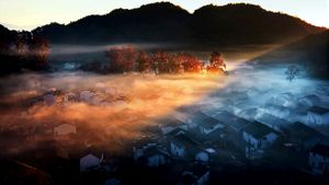 [今日寒露] 中国，江西，婺源，晨雾与阳光 (© Ping Yan/REX Shutterstock)(Bing China)
