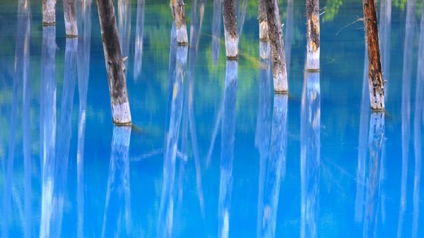 ｢美瑛白金青い池｣北海道