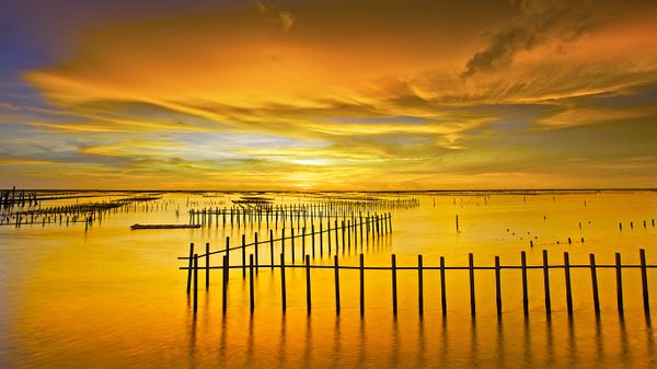 Cigu Lagoon at Tainan, Taiwan