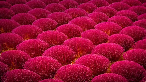 Incense factory in Xinhui District, Jiangmen, Guangdong Province, China