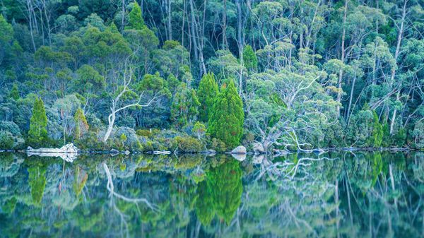 Lake Dobson in Mount Field National Park of Tasmania