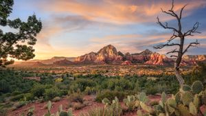 Sedona, Arizona, États-Unis (© Jonathan Ross/Getty Images)(Bing France)