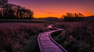天堂之路，新泽西州瓦瓦安达州立公园 (© Leembe/Getty Images)(Bing China)