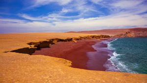 帕拉卡斯国家保护区内的红海滩，秘鲁 (© Istvan Kadar Photography/Getty Images)(Bing China)