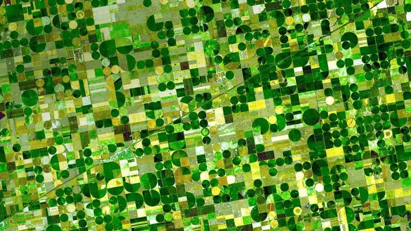 Farm plots in southwestern Kansas