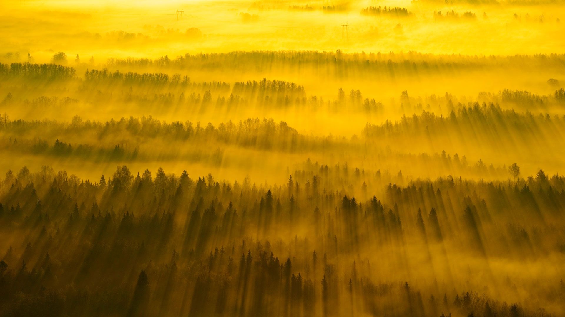 Sunbeams across Tartu County, Estonia