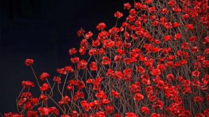 帝国战争博物馆北馆内的装置艺术‘Blood Swept Lands and Seas of Red’，英国曼彻斯特 (© Christopher Furlong/Getty Images)(Bing China)