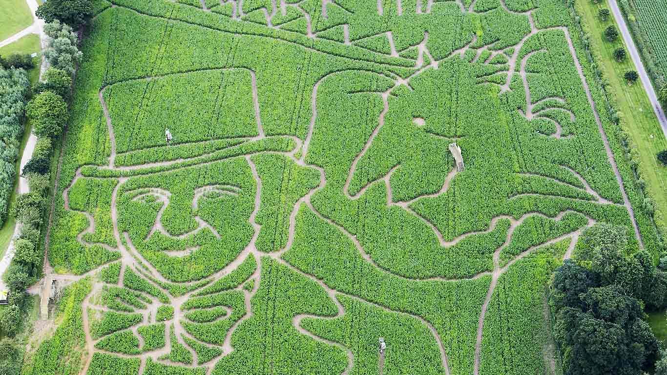 A Roald Dahl-themed maze in York