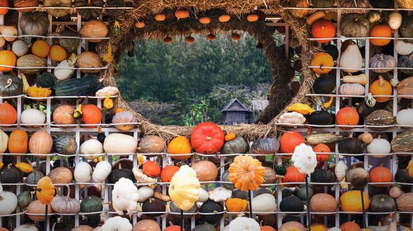 Colorful display of gourds, squash, and pumpkins in Nakhon Ratchasima, Thailand