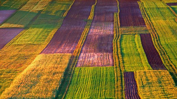 An organic farm in the Roztocze region of Poland