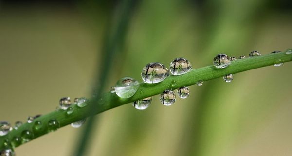 WaterDrops